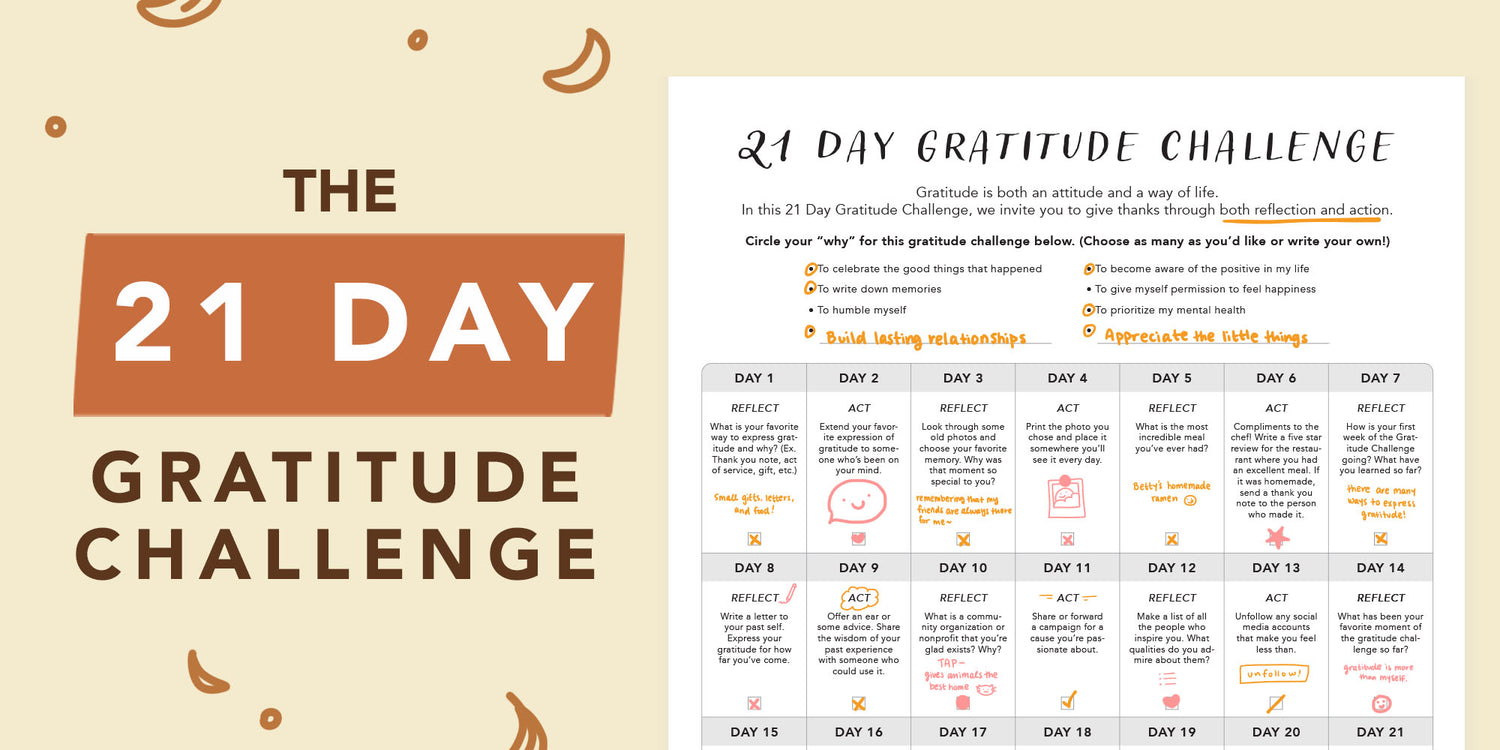 Your Guide to the 21-Day Gratitude Challenge