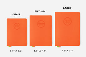 Tangerine Orange Passion Planner size comparison