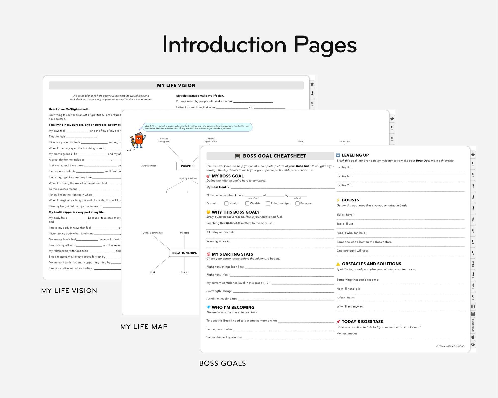 Introduction pages of a personal development journal with sections like 'My Life Vision' and 'Boss Goals'.