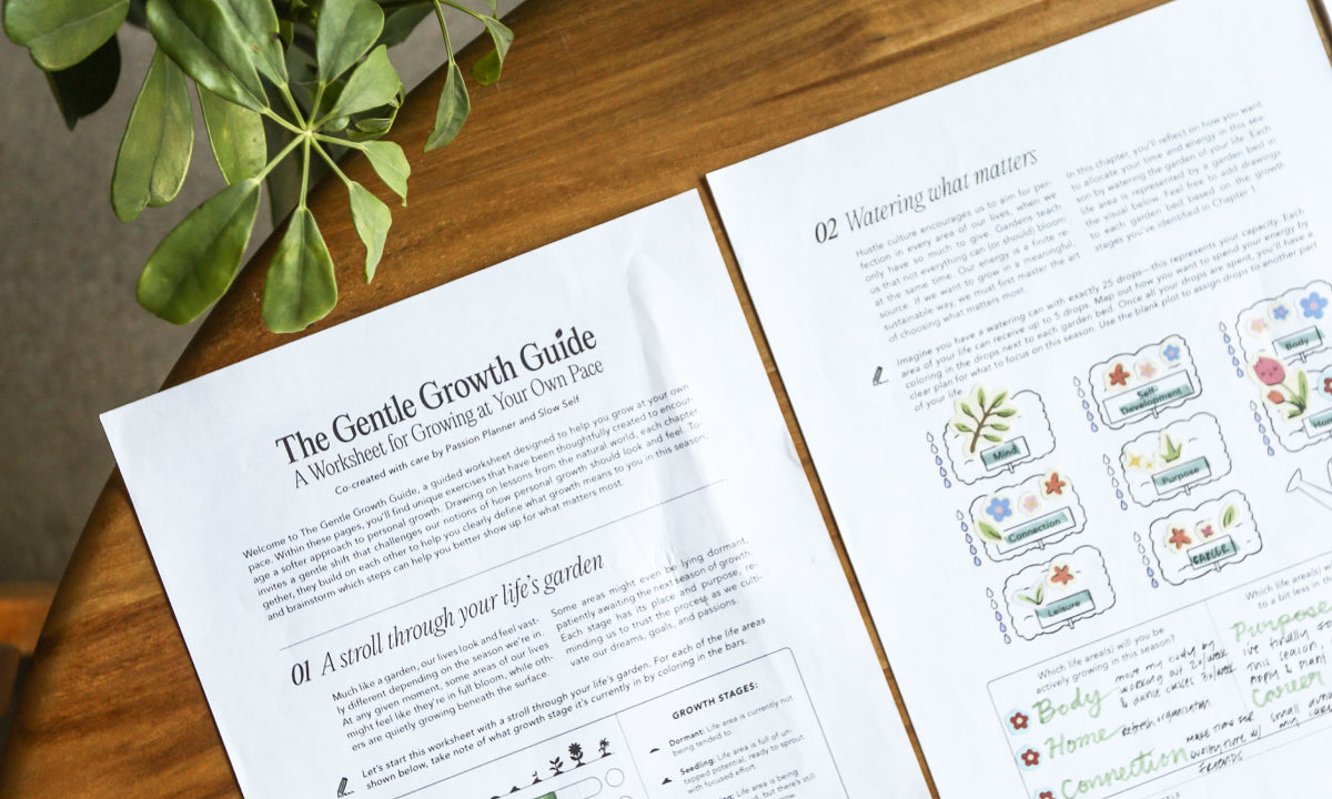 Two worksheets on a wooden desk with a plant in the corner