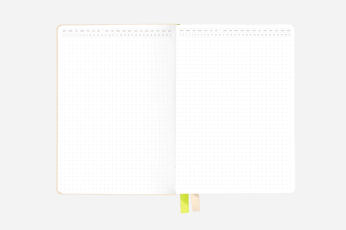 vanilla cream dot grid bullet journal