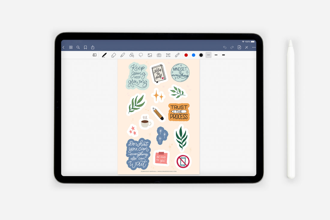 Digital Self-Care Sticker Book - Passion Planner