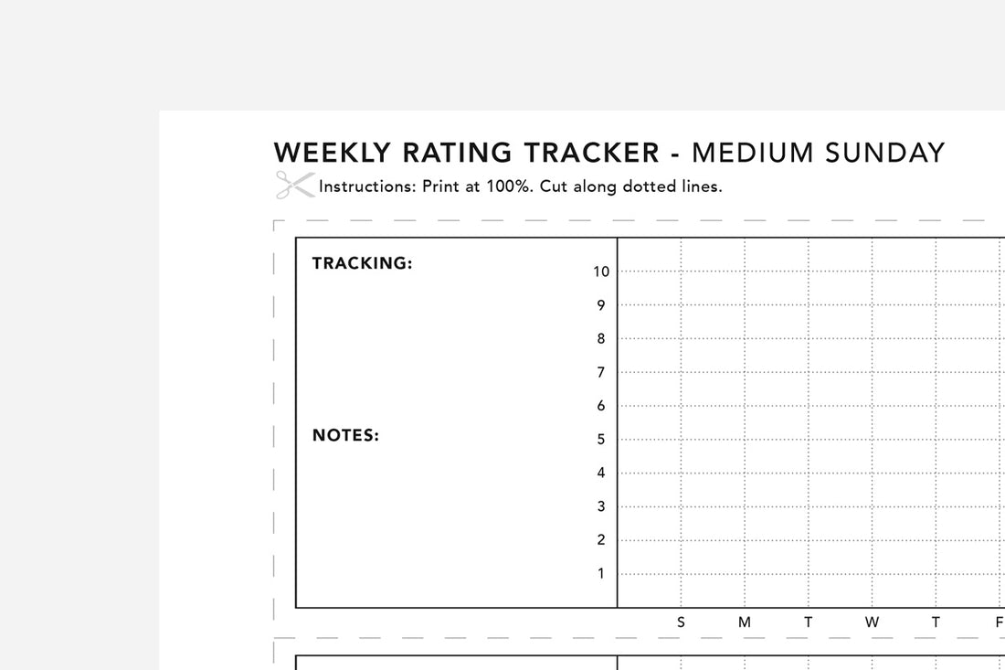 Rating Tracker PDF - Passion Planner