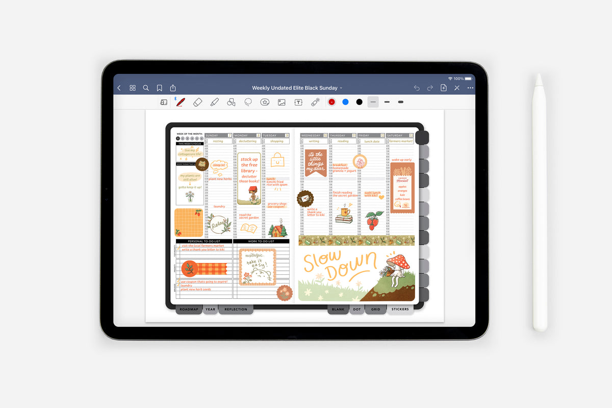 Digital Decorate Your Planner Sticker Book - Passion Planner