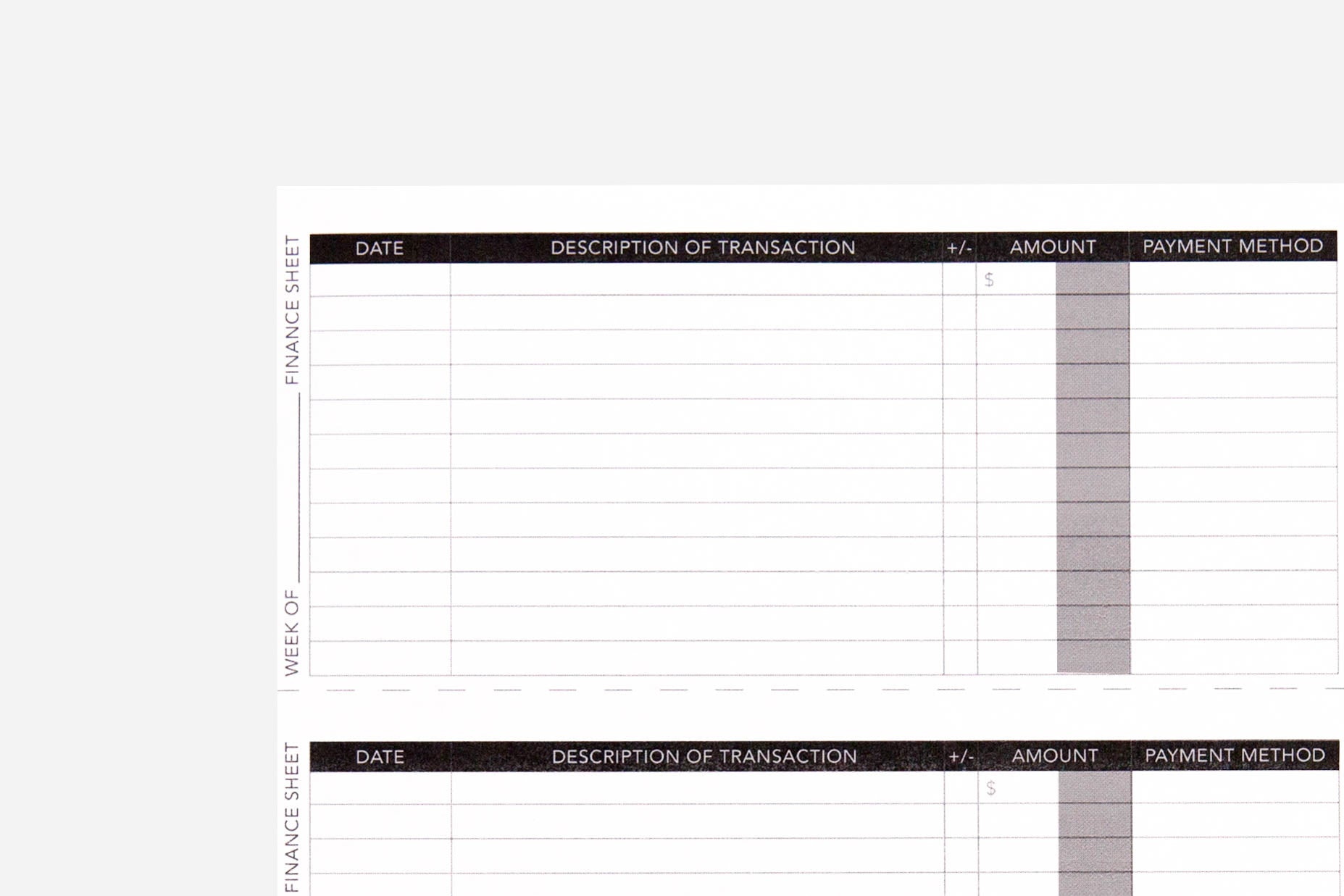 Finance Tracker - Passion Planner