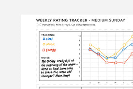 Rating Tracker PDF - Passion Planner