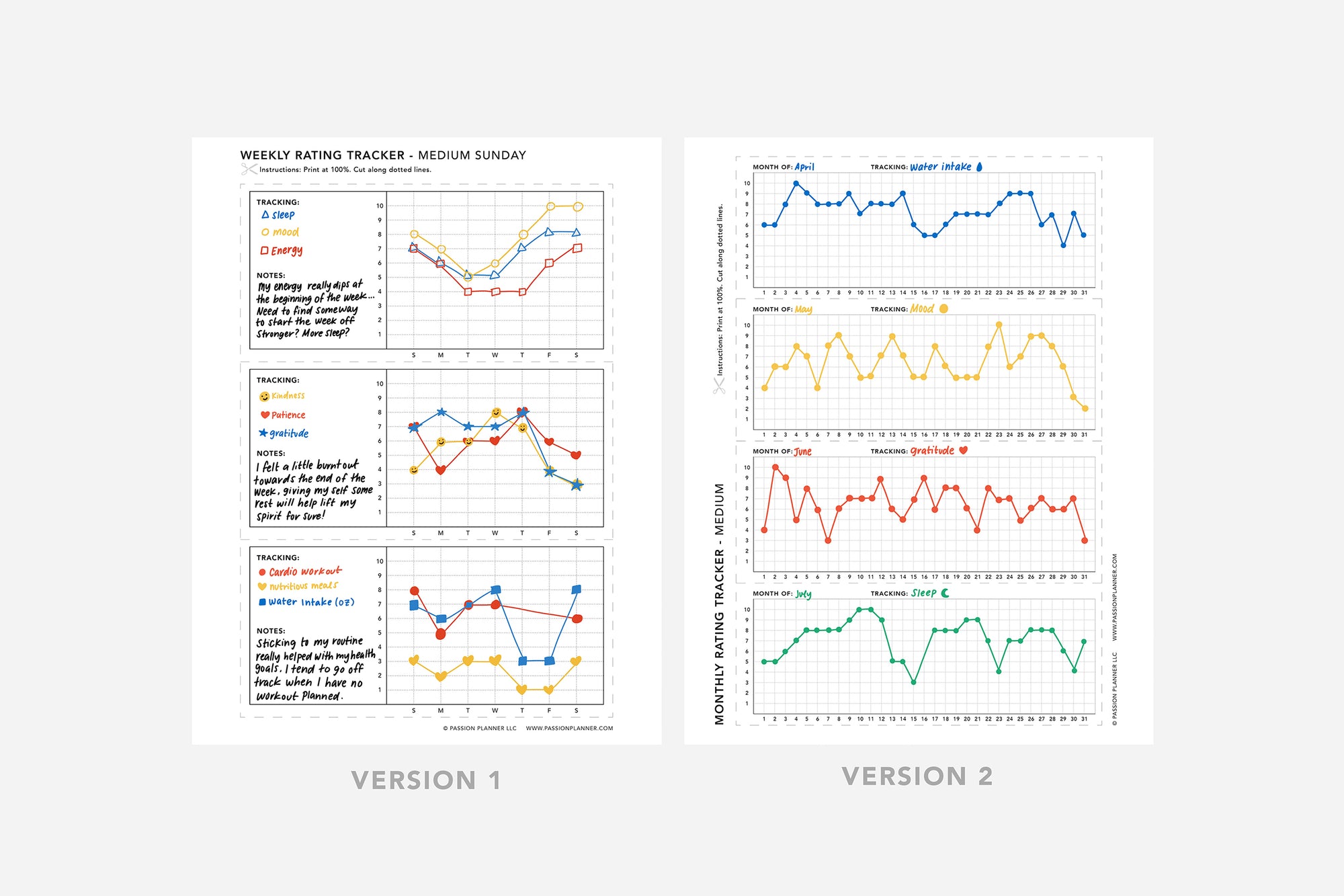 Rating Tracker PDF - Passion Planner