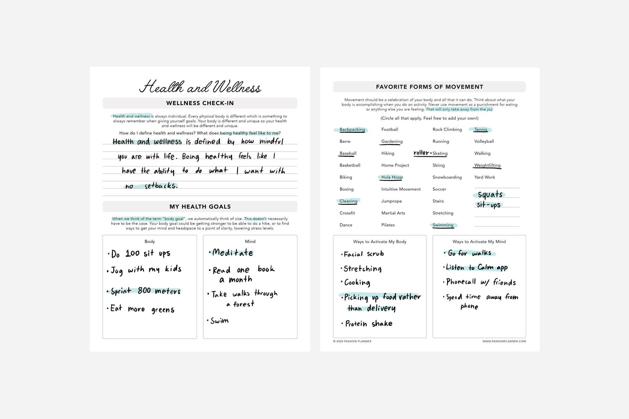 Health and Wellness Reflection - Passion Planner